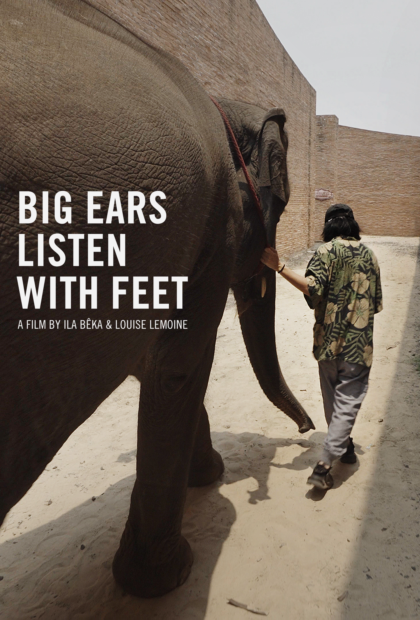 Big Ears Listen With Feet