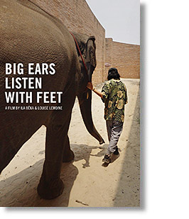 Big Ears Listen with Feet