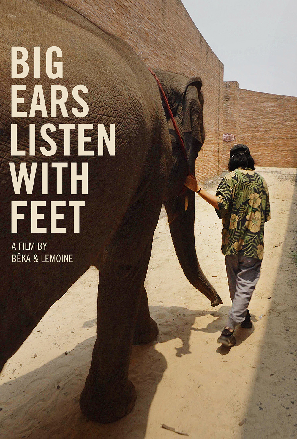 Big Ears Listen With Feet