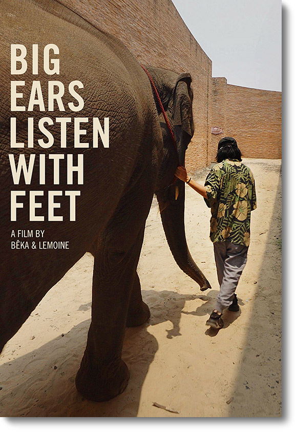 Big Ears Listen with Feet